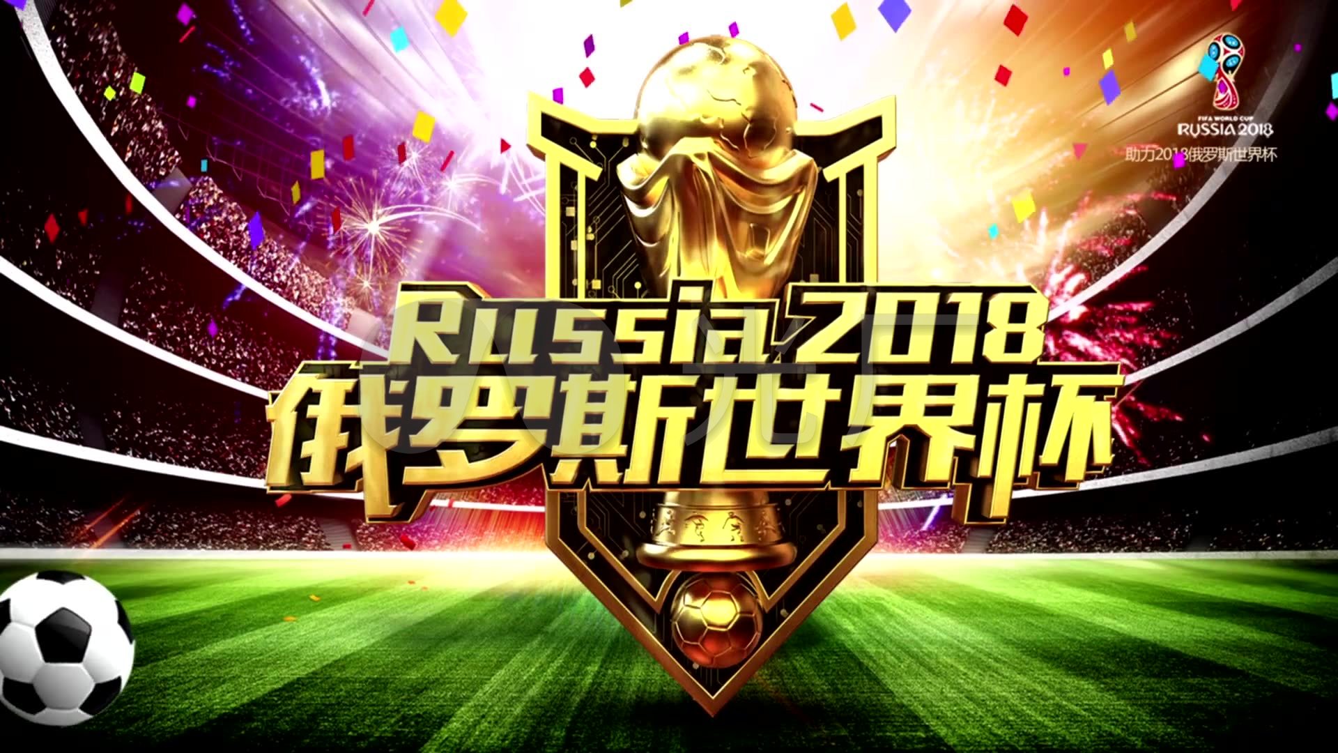 着新教练